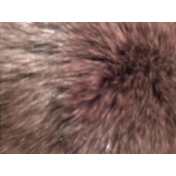 You are looking at a brown coat jacket with fox fur by Christian Dior size 6 - Picture 4 of 10